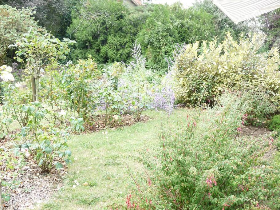 Clos Fleuri : Amboise Home With Amazing Gardens Bagian luar foto
